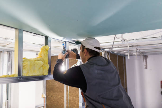Best Geographic-Specific Insulation Services in Hemlock, MI