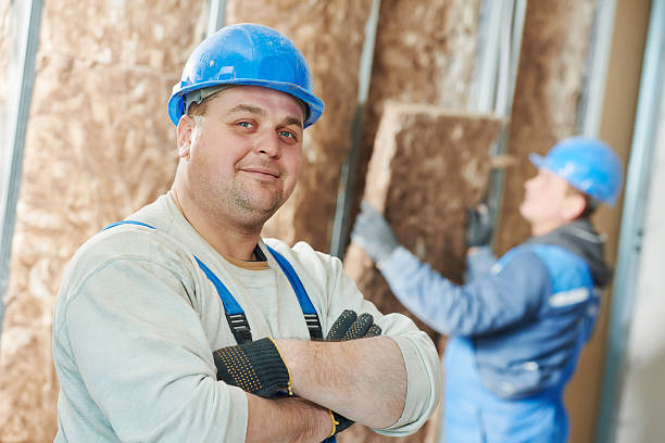 Best DIY Insulation Kits and Guidance in Hemlock, MI
