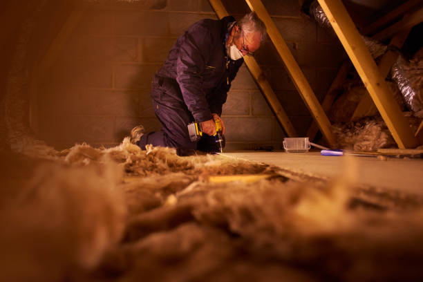 Best Insulation Maintenance and Repair in Hemlock, MI