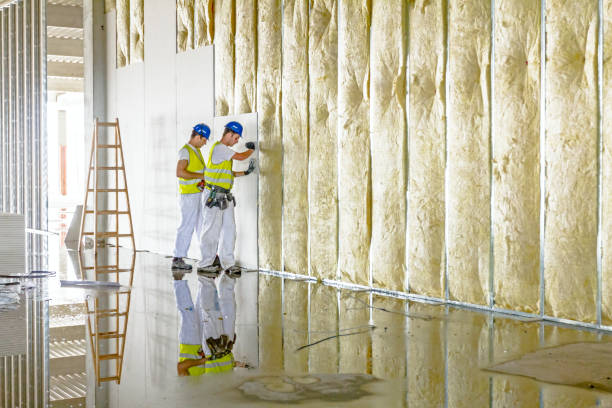 Types of Insulation We Offer in Hemlock, MI